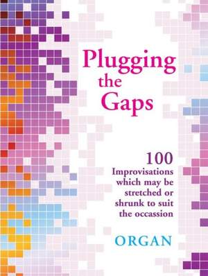 Plugging&#x20;The&#x20;Gaps