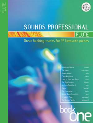 Sounds Professional - Flute