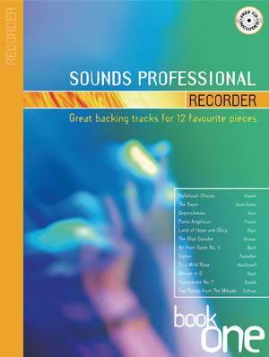 Sounds Professional - Recorder