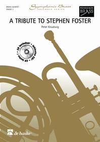 Knudsvig: A Tribute to Stephen Foster