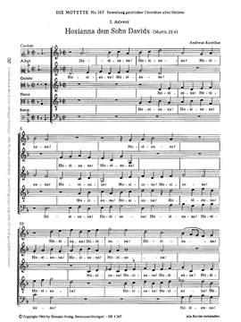Raselius: Hosianna dem Sohn Davids (dMoll)