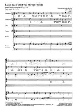Schein: Siehe, nach Trost war mir sehr bange ( no. 18)