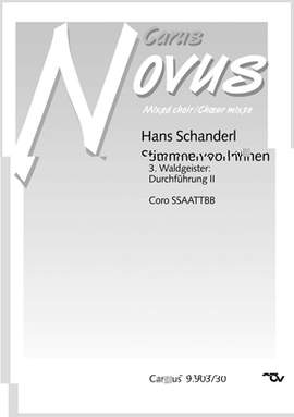 3. Waldgeister: Durchführung II
