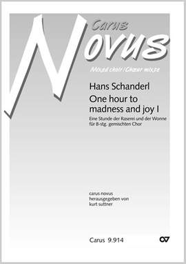 Schanderl: One hour to madness and joy