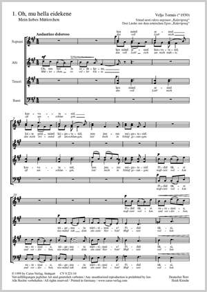 Download Liebes net For iPhone Free