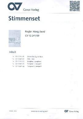 Riegler: König David