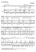 Schindler: Urwaldsong Product Image