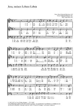 Witte: Jesu, meines Lebens Leben (DDur)