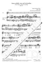 Bach, JS: Jesus schläft, was soll ich hoffen (BWV 81; eMoll) Product Image