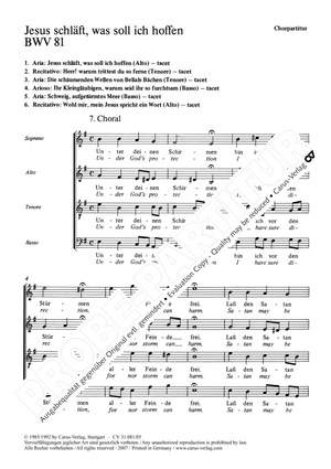 Bach, JS: Jesus schläft, was soll ich hoffen (BWV 81; eMoll)