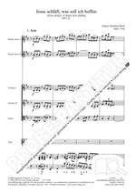 Bach, JS: Jesus schläft, was soll ich hoffen (BWV 81; eMoll) Product Image