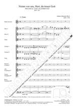 Bach, JS: Nimm von uns, Herr, du treuer Gott (BWV 101; d-Moll) Product Image