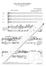 Bach, JS: Was willst du dich betrüben (BWV 107; h-Moll) Product Image