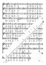 Bach, JS: Erwünschtes Freudenlicht (BWV 184) Product Image