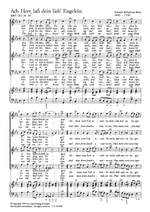 Bach, JS: Ach Herr, lass dein lieb Engelein (BWV 245 no. 40; Es-Dur) Product Image