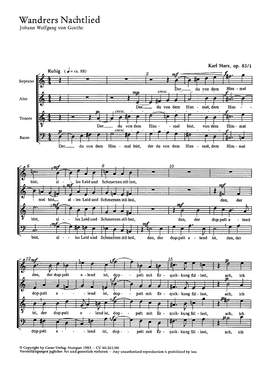 Marx: Wandrers Nachtlied; Phänomen