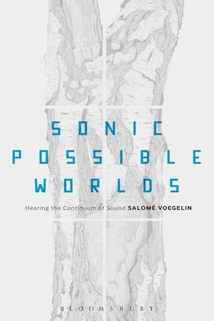 Sonic Possible Worlds: Hearing the Continuum of Sound