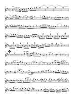 Flute Concerto in D Major, K. 314: Classical Play-Along Volume 1 Product Image