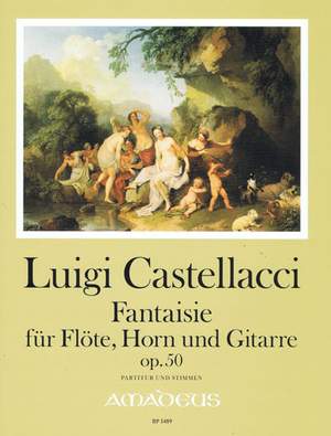 Castellacci, L: Fantasy op. 50
