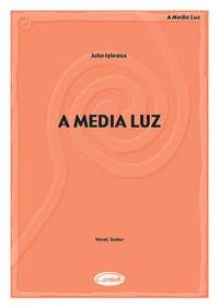 Julio Iglesias: A Media Luz