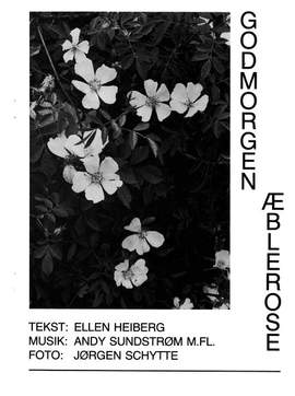 Andy Sundstrom: Godmorgen Æblerose