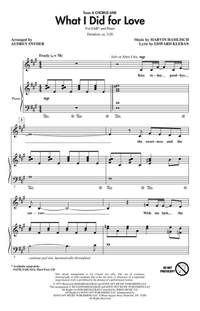 Marvin Hamlisch: What I Did for Love