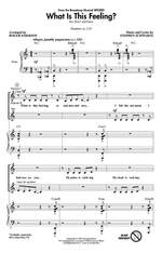 Stephen Schwartz: What Is This Feeling? Product Image