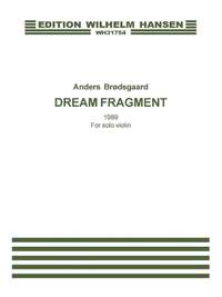 Anders Brødsgaard: Dream Fragment