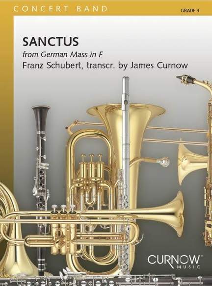 Franz Schubert: Sanctus