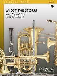 Timothy Johnson: Midst the Storm