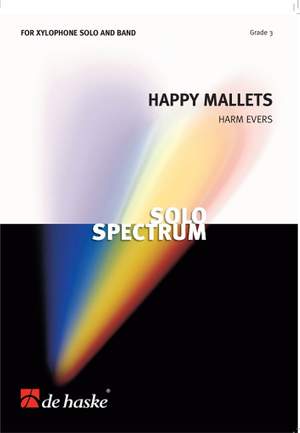 Harm Evers: Happy Mallets