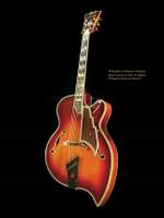 D'Angelico, Master Guitar Builder Product Image