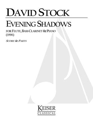 David Stock: Evening Shadows