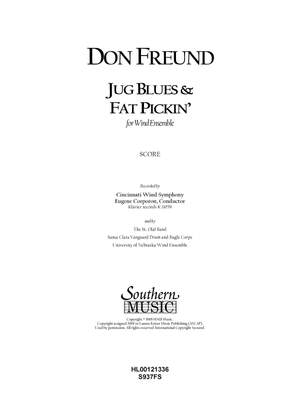 Don Freund: Jug Blues and Fat Pickin'