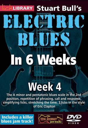 Stuart Bull's Electric Blues in 6 Weeks