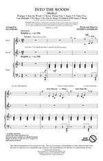 Stephen Sondheim: Into the Woods Product Image