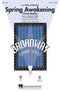 Duncan Sheik: Spring Awakening