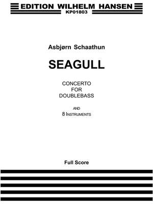 Asbjørn Schaathun: Seagull