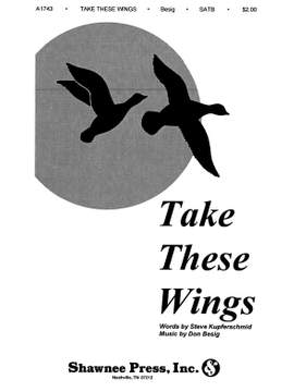 Don Besig_Steven W. Kupferschmid: Take These Wings