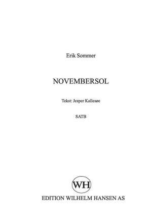 Erik Sommer: Novembersol