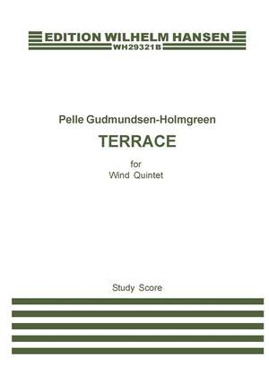 Pelle Gudmundsen-Holmgreen: Terrace in 5 Stages