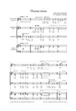 Thuma mina. SAB accompanied (Faber Choral Series) Product Image