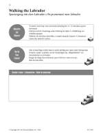Rae, James: Step by Step Product Image