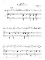 Balkan Play-Along Flute Product Image