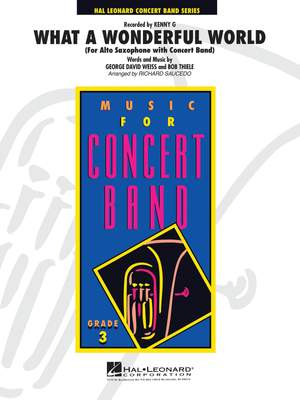 What a Wonderful World (Alto Saxophone Solo with Band)