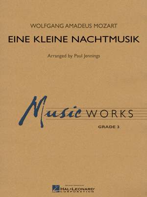 Eine kleine Nachtmusik