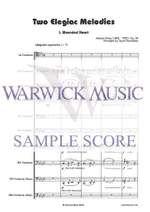 Grieg: Two Elegiac Melodies Product Image