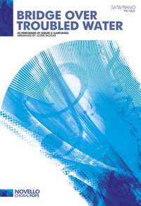 Paul Simon_Simon & Garfunkel: Bridge Over Troubled Water