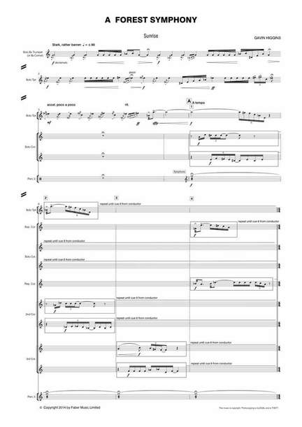 Gavin Higgins: A Forest Symphony