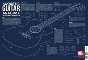 Charlie Lee-Georgescu: Acoustic Guitar Anatomy And Mechanics Wall Chart